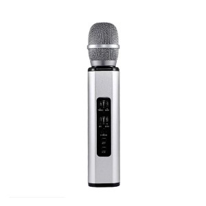 2020 OEM professional Microphone Karaoke, K song condenser Microphone