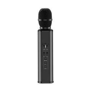 2020 OEM professional Microphone Karaoke, K song condenser Microphone