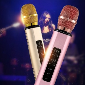 2020 OEM professional Microphone Karaoke, K song condenser Microphone